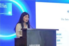 美乐家公共关系总监王婷：以“绿色基因”铸